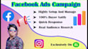 setup and run facebook ads campaign, fb advertising perfectly