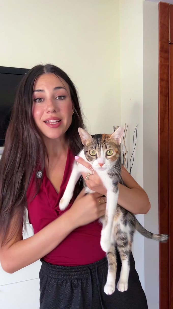 create cute and authentic ugc videos with my cats