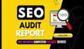 provide detailed website SEO audit report