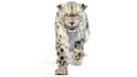 do any 3d animal model, character animation creature xgen hair 3d dragon vfx fur