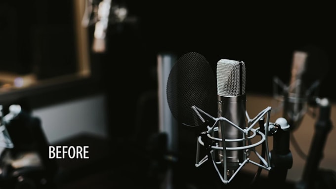 repair, restore, clean and enhance your audio