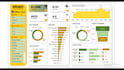 build a professional excel dashboard with kpis and reports