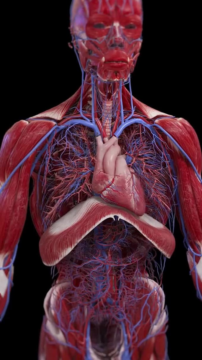 do 3d medical device animation 3d surgical device animation 3d medical explainer