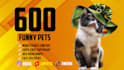create 550 funny pet compilation videos or youtube shorts