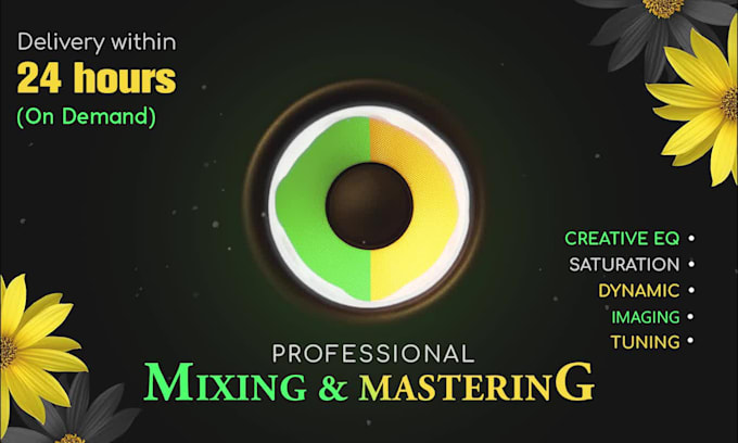 do top class audio mixing and mastering in 24 hour