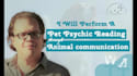 perform a pet psychic reading through animal communication