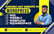 convert clone wix, squarespace, weebly, webflow to wordpress