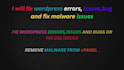 fix wordpress errors, issues,bug and fix malware issues