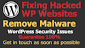 give you strong wordpress security, remove malware, repair