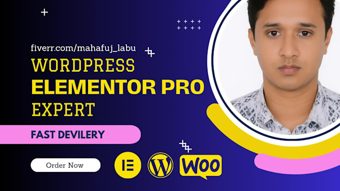 build a custom wordpress website using elementor pro