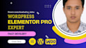 build a custom wordpress website using elementor pro