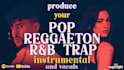 make a custom pop, reaggueton, rnb beat and more