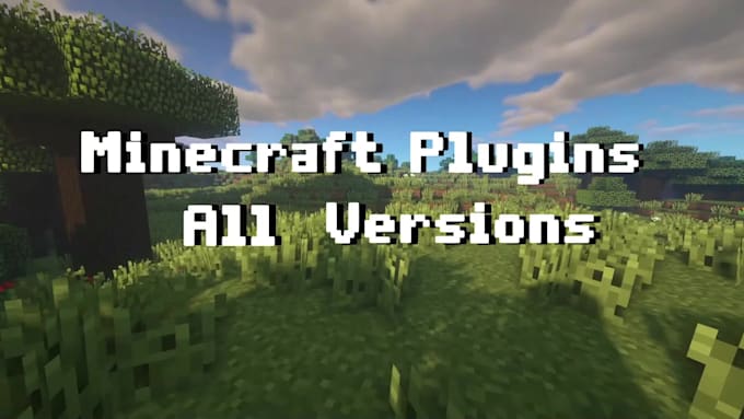 code you a minecraft java plugin