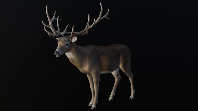 animate your custom 3d creature