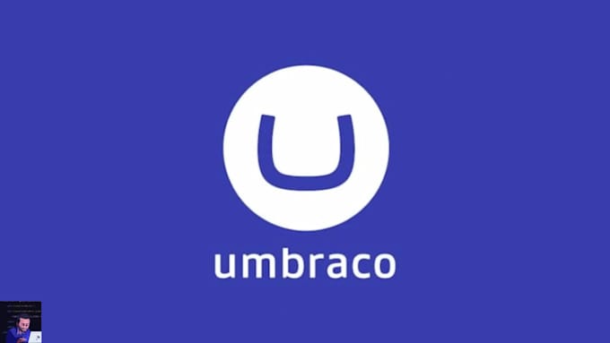 develop, fix or maintain your umbraco website