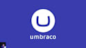 develop, fix or maintain your umbraco website