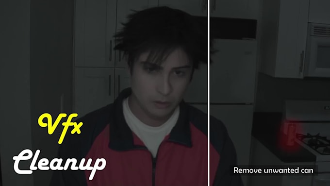professional vfx cleanup and object wire removal from video