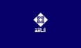 design custom arabic logo and calligraphy