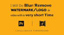 do blur or add watermark in video