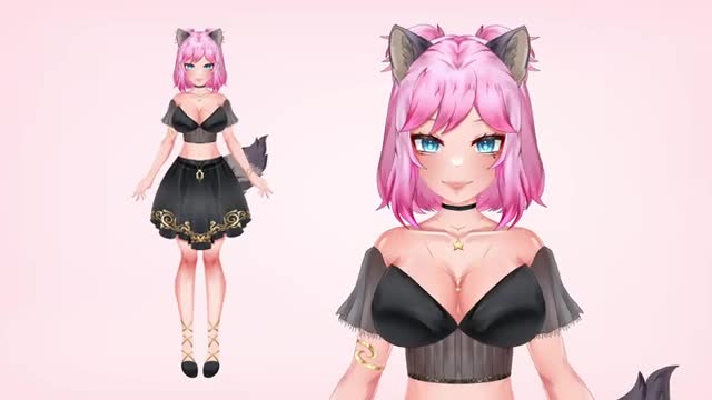 design and rig high quality live 2d vtuber model, 2d vtuber model vtuber model