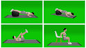 create short 3d workout animation videos for instagram, tiktok and youtube short
