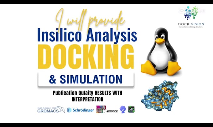 provide docking and MD simulation services