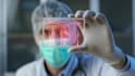 write quality health articles and medical content