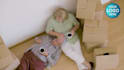 make senior relocation or moving service video ads