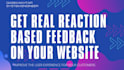 test your website and give a professional review