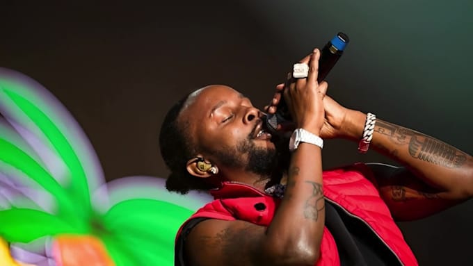 write and record professional pop, reggae, hip hop vocals, lyrics arrangement
