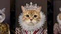 do a custom royal pet portrait, dog portrait, cat portrait