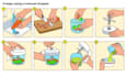 draw guide instruction manual step by step digital handrawn illustration