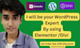 wordpress website desgin, redesign by elementor or divi