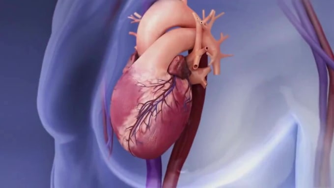 3d medical animation, 3d medical device, surgery modeling, 3d product modeling by Shawn_code | Fiverr 3d medical animation, 3d medical device, surgery modeling, 3d product modeling by Shawn_code | Fiverr