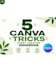 design professional instagram posts and carousel in canva