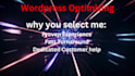 do boost wordpress speed optimization for google pagespeed
