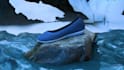 create professional 2d and 3d motion graphics commercial videos