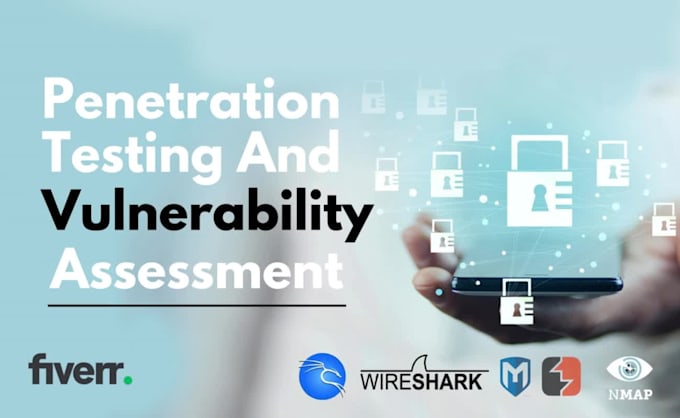 conduct expert vulnerability assessment and penetration testing with a report