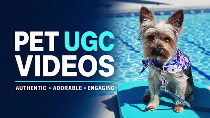create premium pet ugc