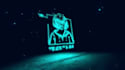do custom logo animation or signature animation