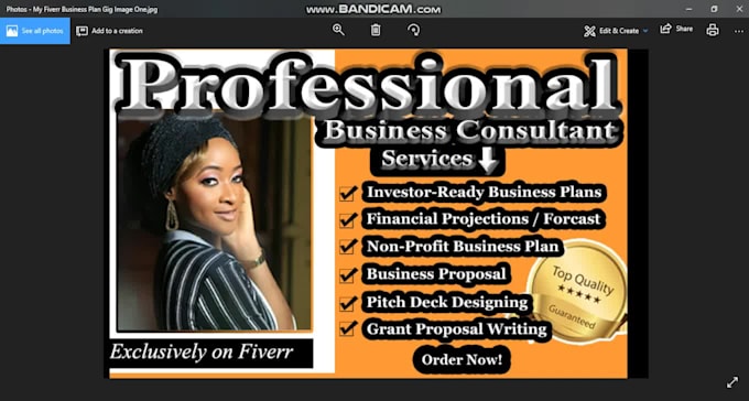 write pro business plan, grant writing, pitch deck for startups, nonprofit, sba