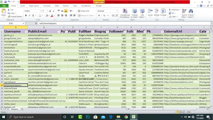 do data entry, web research, data extraction, data mining