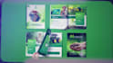 design a professional company profile, business brochure, and catalog