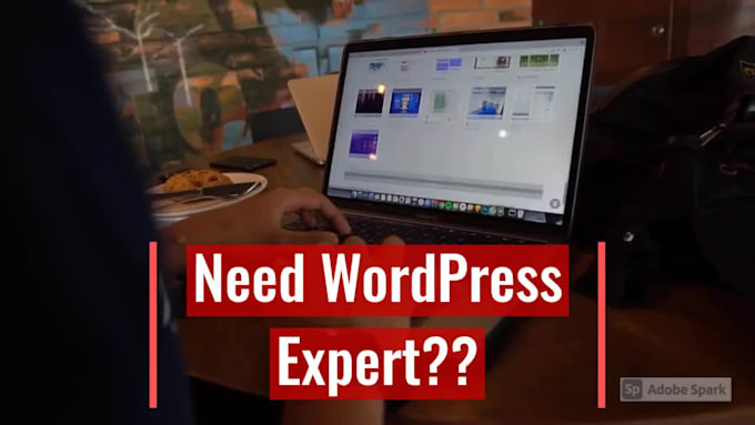 do wordpress customization, update or  manage website