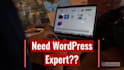 do wordpress customization, update or  manage website