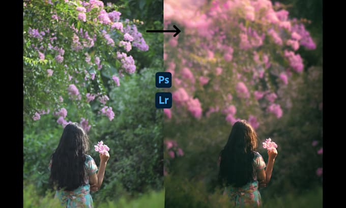 color grade and retouch your images professionally