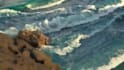 create water simulation 3d fluid animation water splash liquid houdini water