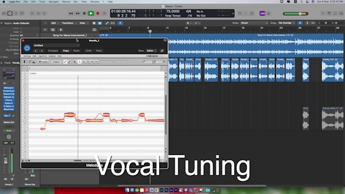 align and tune your vocal with melodyne