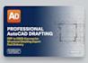do professional autocad drafting and structural detailing