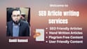 write SEO blog and ranked articles for your blog professionally
